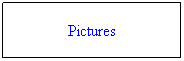 Text Box: Pictures
